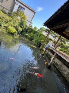 活動写真：湧水庭園「四明荘」島原市にて