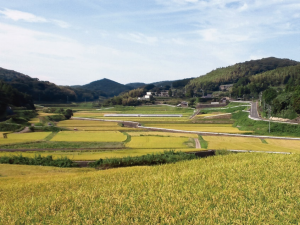 御厨田代地区3