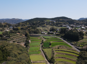 西山地区1(トリミング)