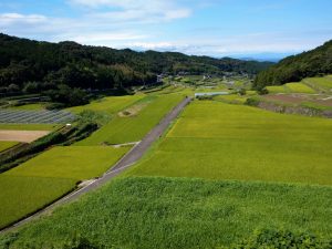 瑞穂町岩戸