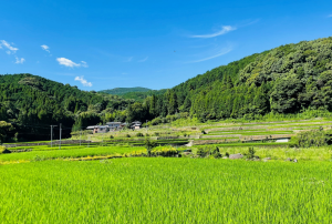 砥石川集落4 (2)