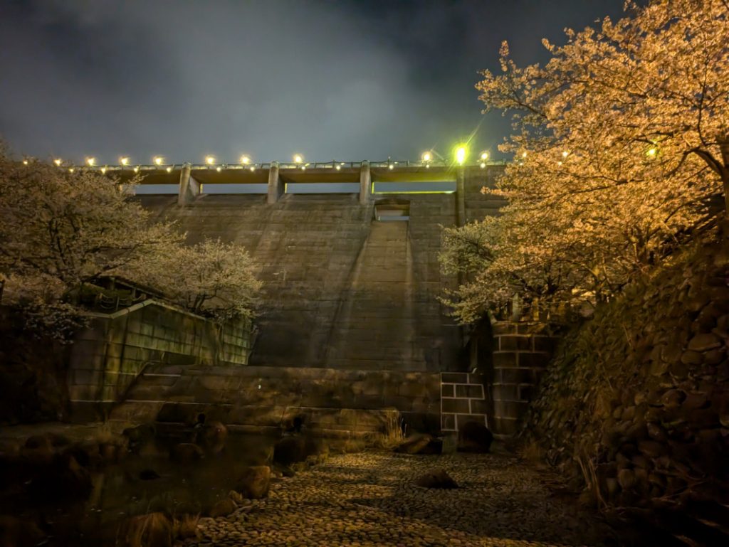 西山ダムと夜桜 ダム下流より