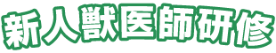 新人獣医師研修