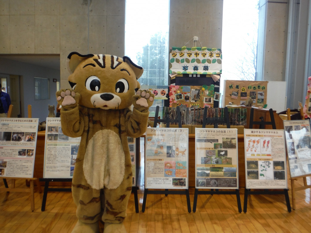 ツシマヤマネコ事業の展示の様子