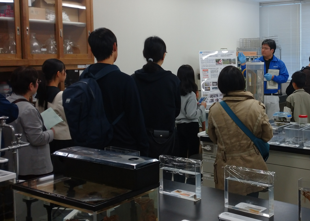 ラボツアーあなたのしらない長崎県に棲む生き物たちの世界の様子