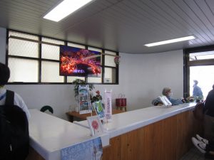 IMG_6489