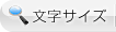 文字サイズ